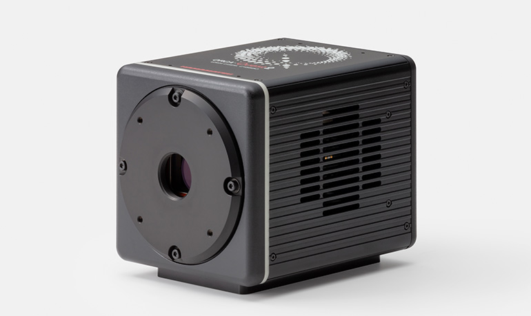 qCMOS cameras